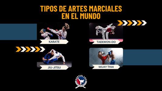 ¿Sabías cuántos tipos de artes marciales existen en el mundo? 🌍🥋